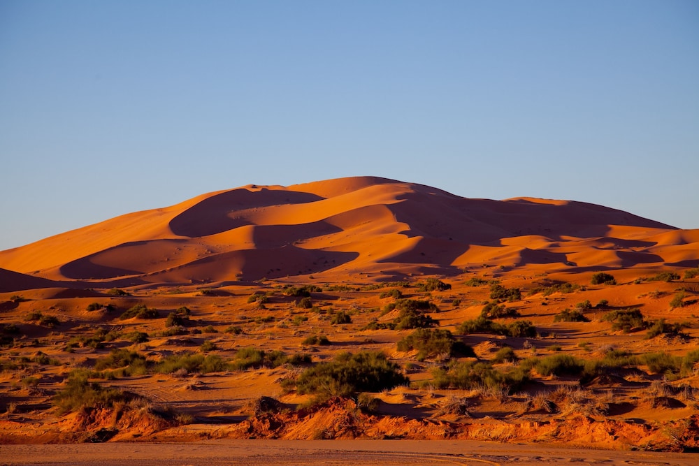 Kam Kam Dunes 35/48
