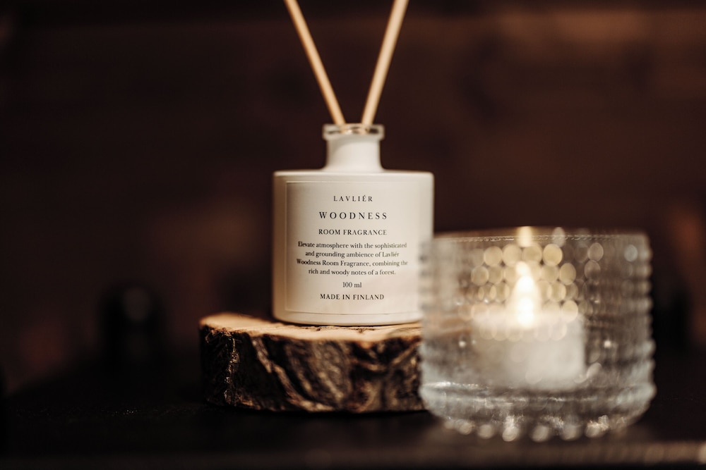 Arctic Panorama Resort 写真4