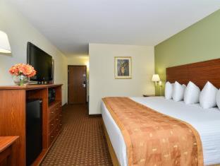 Room, King Bed, Large