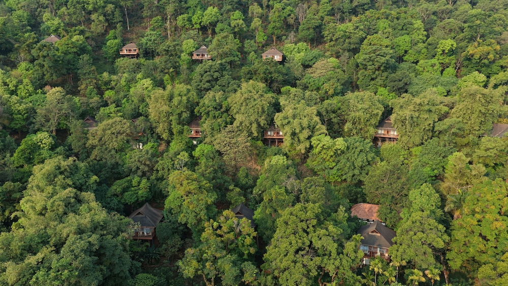 The Tamara Coorg 44/49