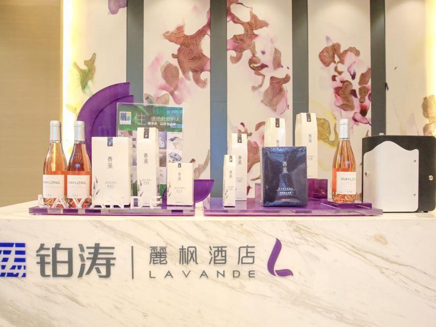 Lavande Hotel (Foshan South Railway Station Bijiang Light Rail Station) 13/43