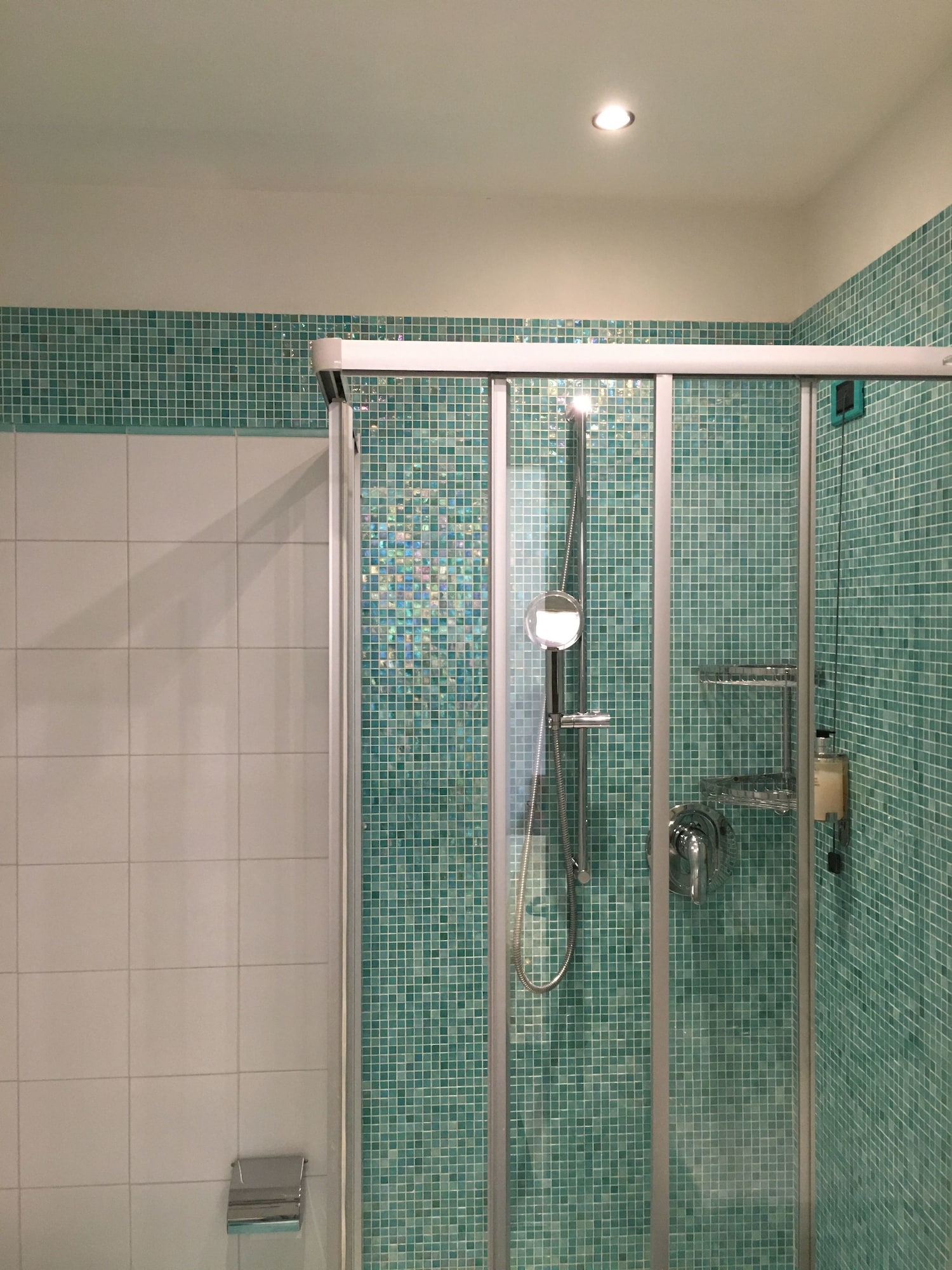 غرفة قياسية ثلاثية بسرير مزدوج وسرير فردي، GREEN PARK HOTEL 9/9