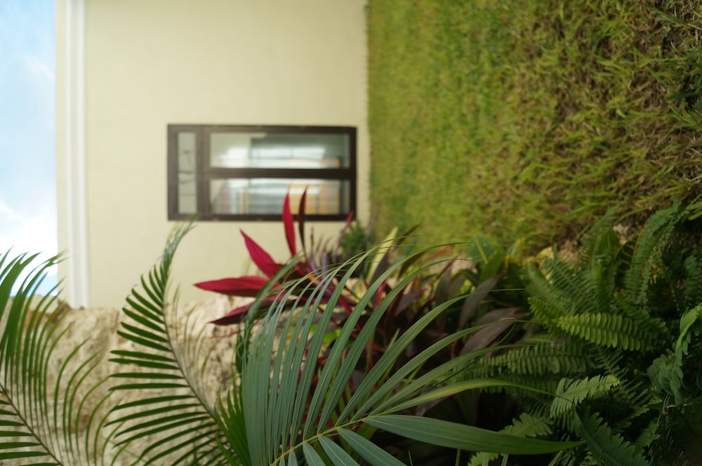 Hotel Casa Palomino 45/50