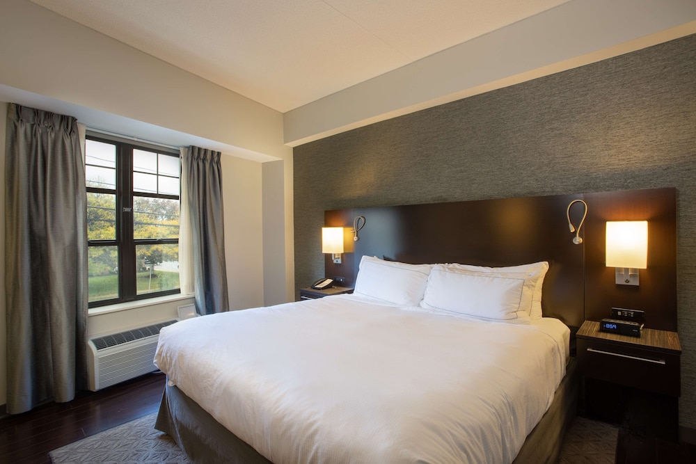 The Mosey Buffalo Williamsville Tapestry Collection Hilton 15/45