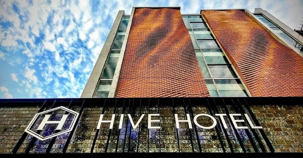 Check inn Hive 3/73