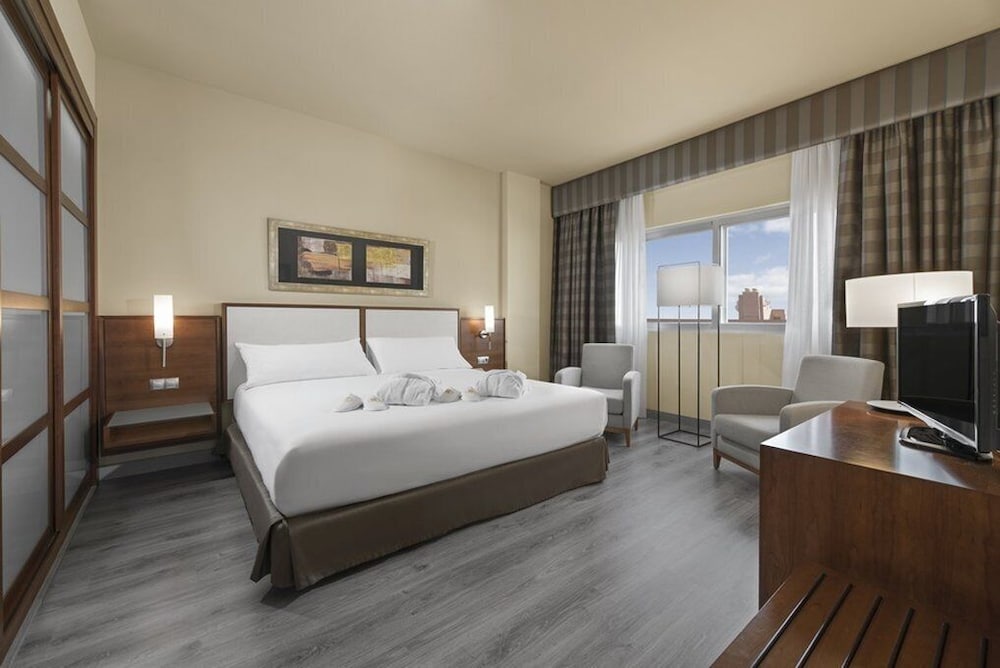 Elba Almeria Business & Convention Hotel 14/60