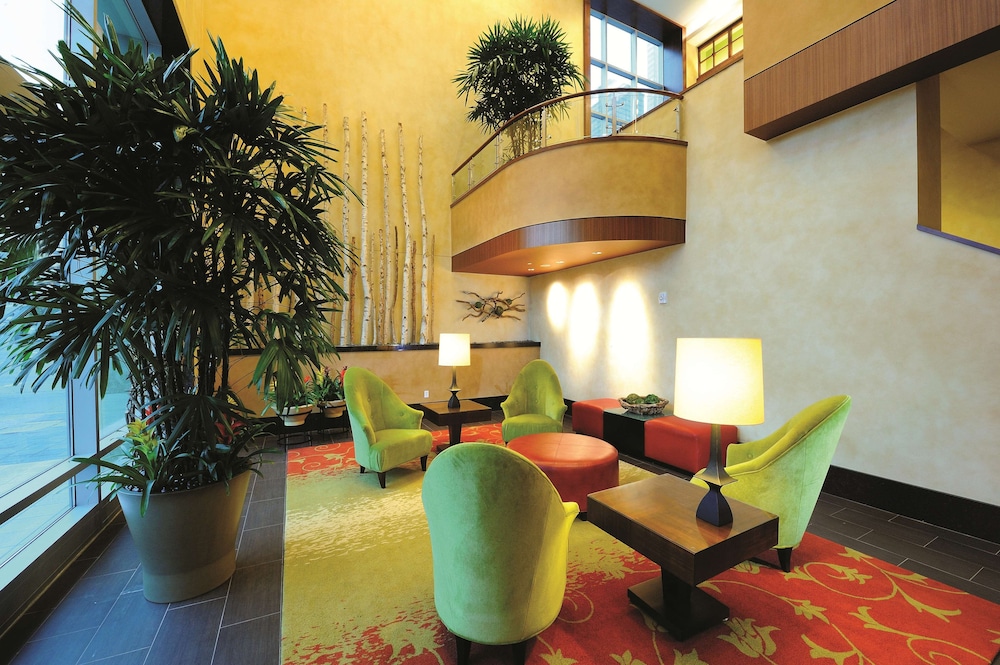 Embassy Suites by Hilton Houston Downtown 38/71