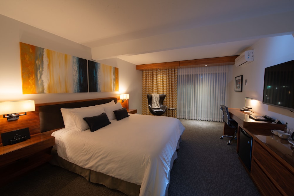 Deluxe, Single, King Bed, Courtyard Area