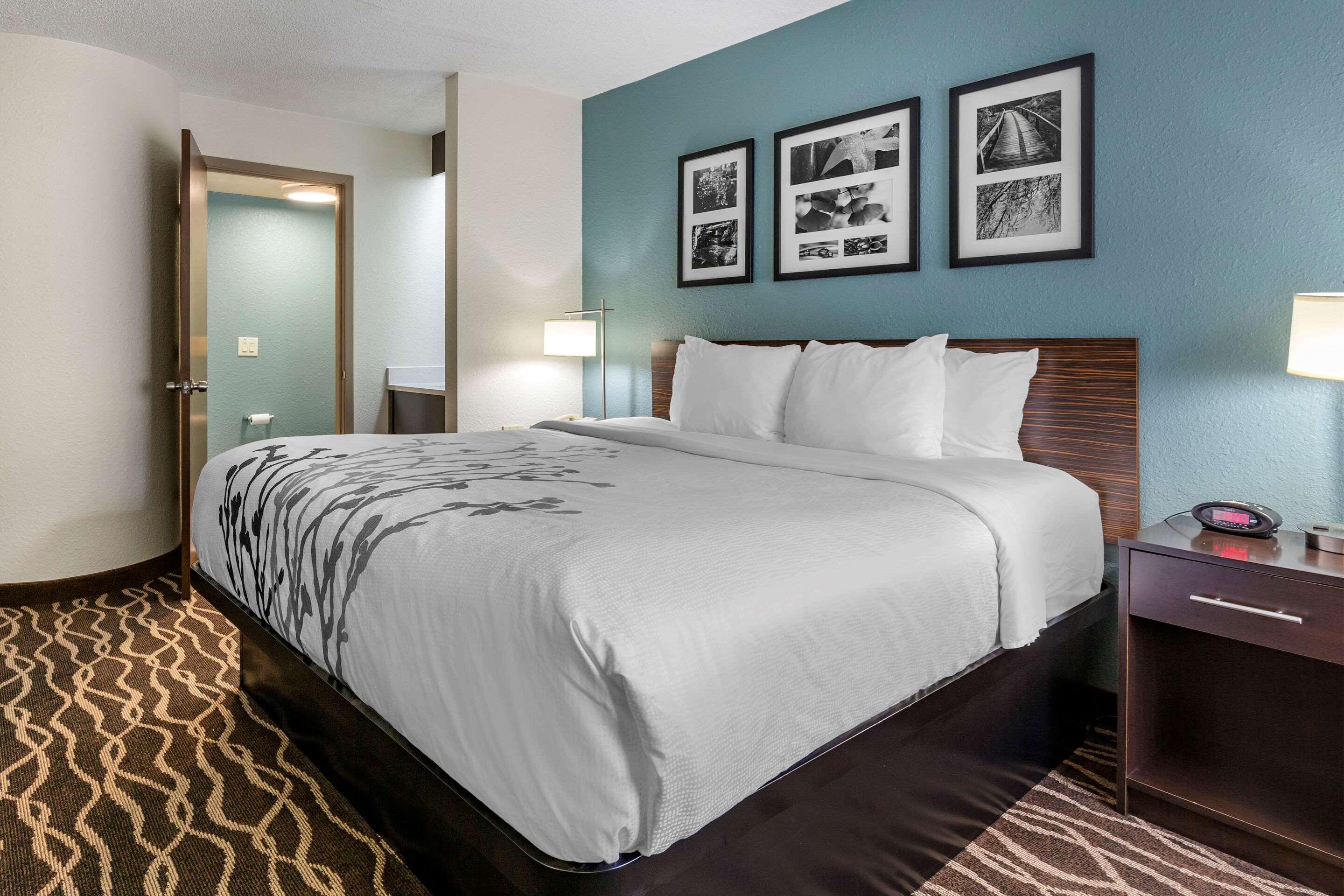ROOM, KING BED