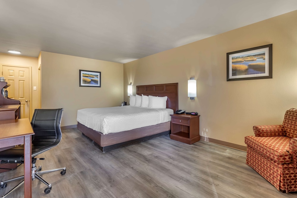 Best Western Dos Rios 14/48