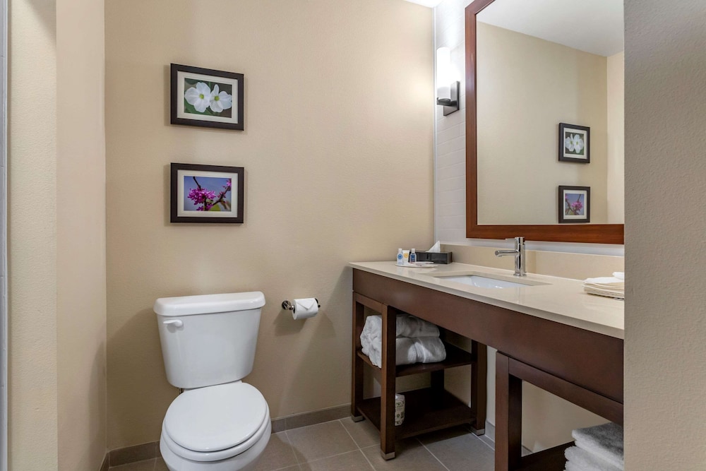 Comfort Inn & Suites Waller TX 19/36