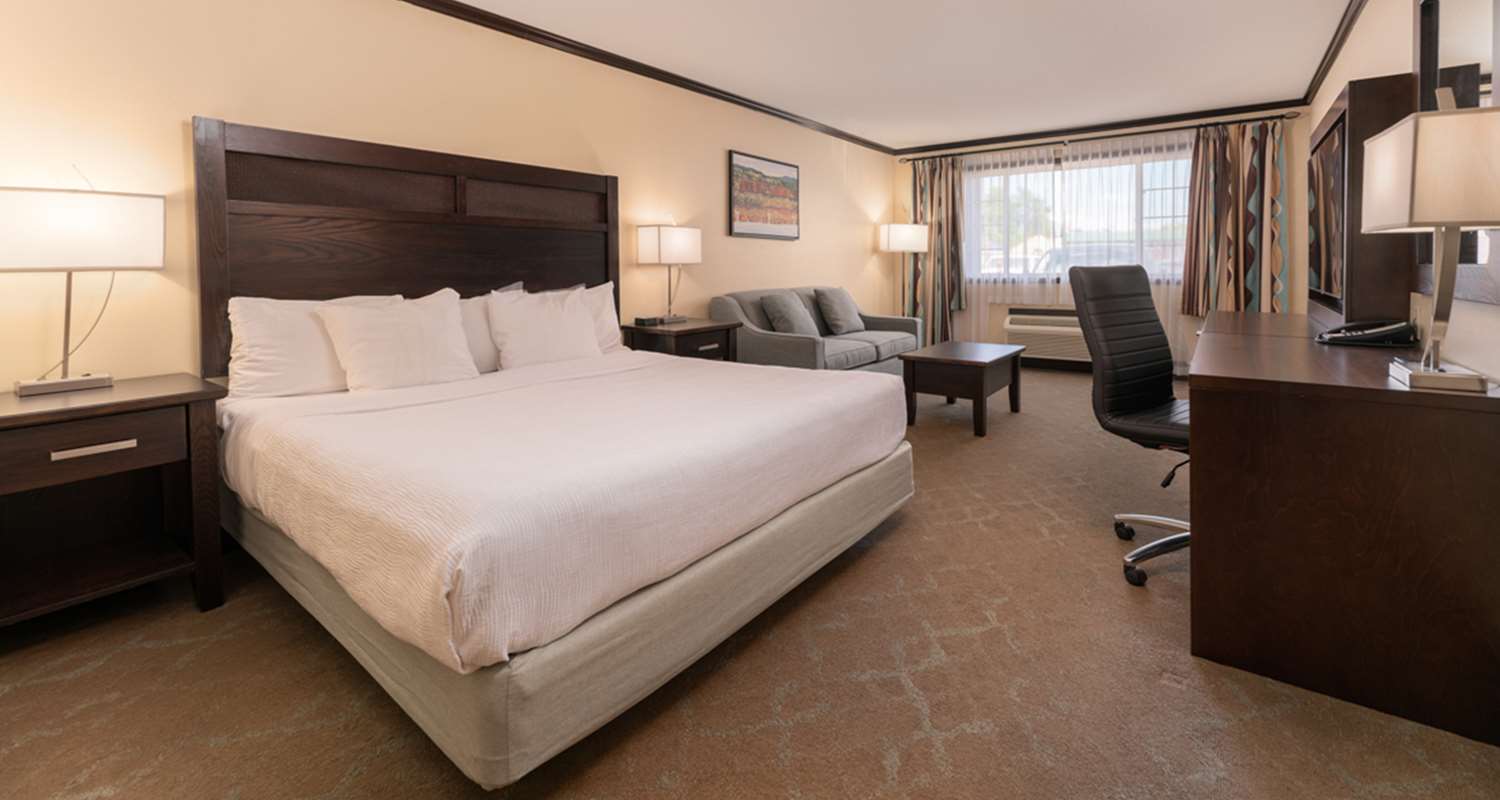 Room, King Bed, Sofa
