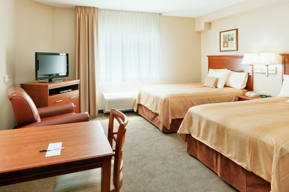 Studio, Suite, 2 Double Beds, Accessible