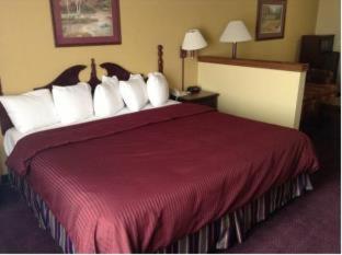Room, Queen Bed, Bathtub, Accessible