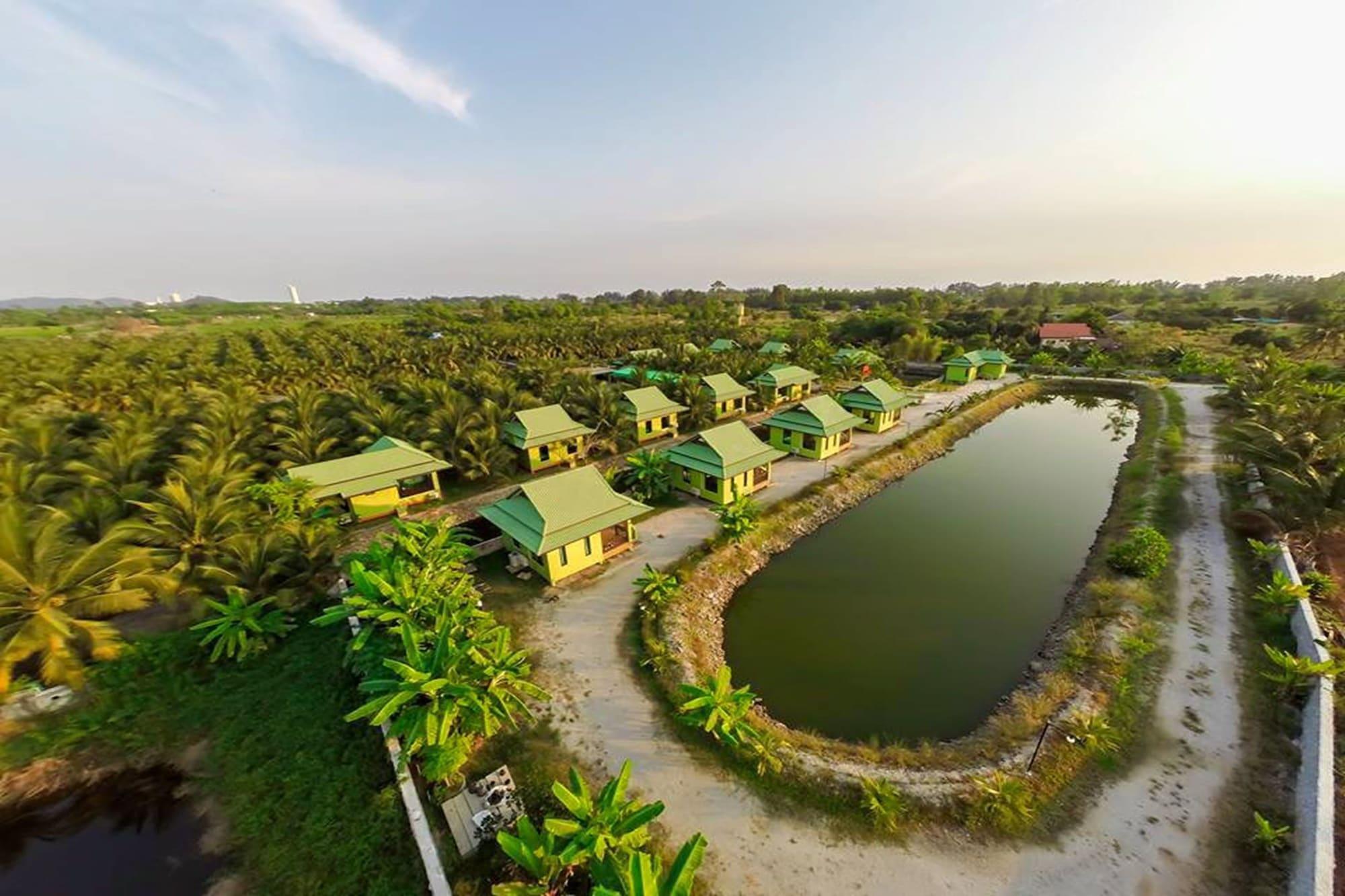 Coconut Resort 56/74