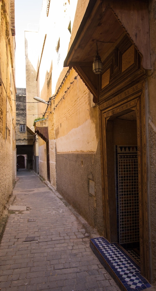 RIAD TARYANA 29/53