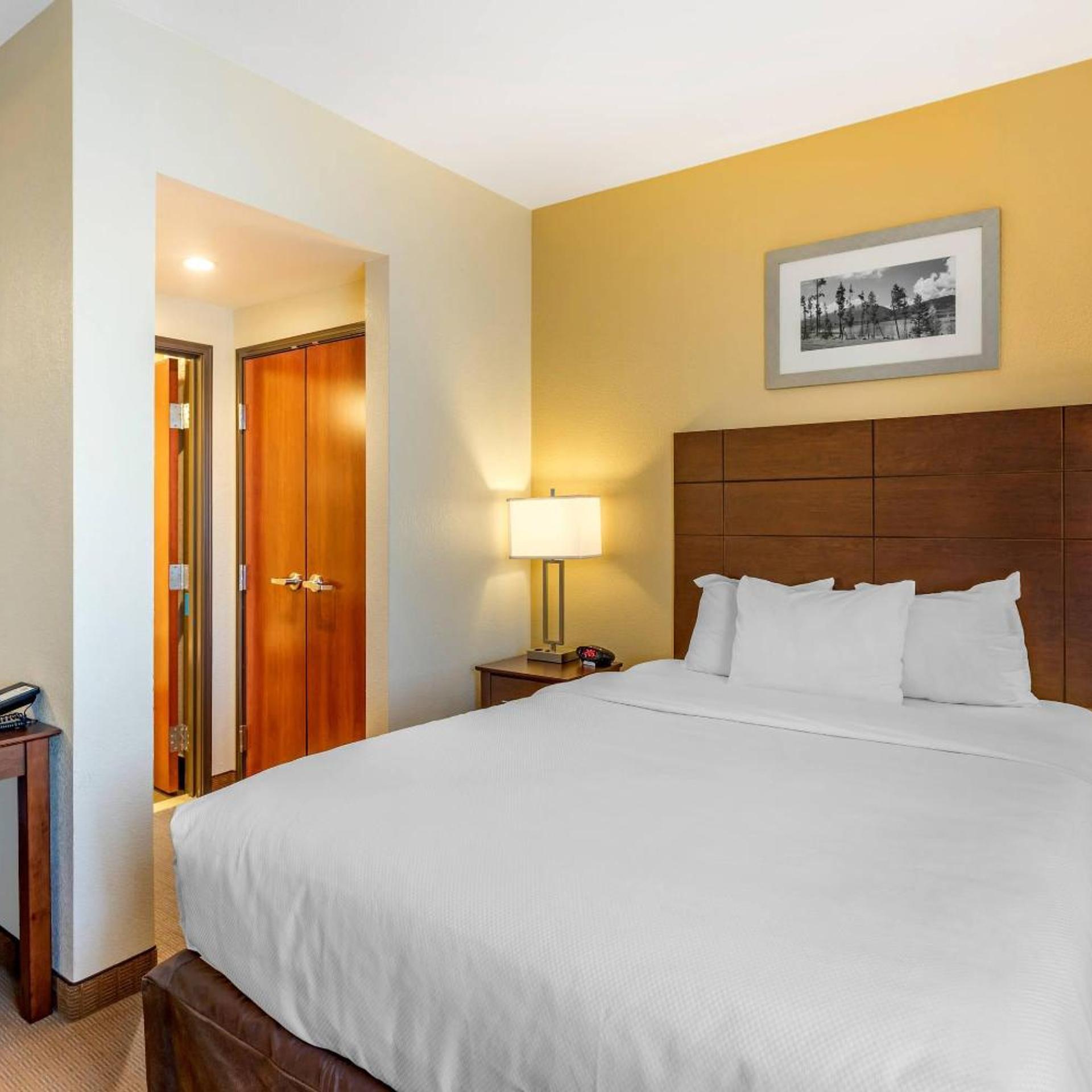 Suite, Queen Bed, Sofa