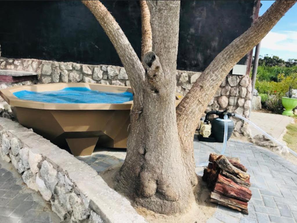 A Touch of Bushveld by the Sea 7/22