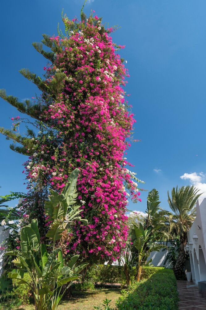 Le Hammamet Hotel 40/43