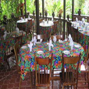Maya Mountain Lodge Tours 20/26