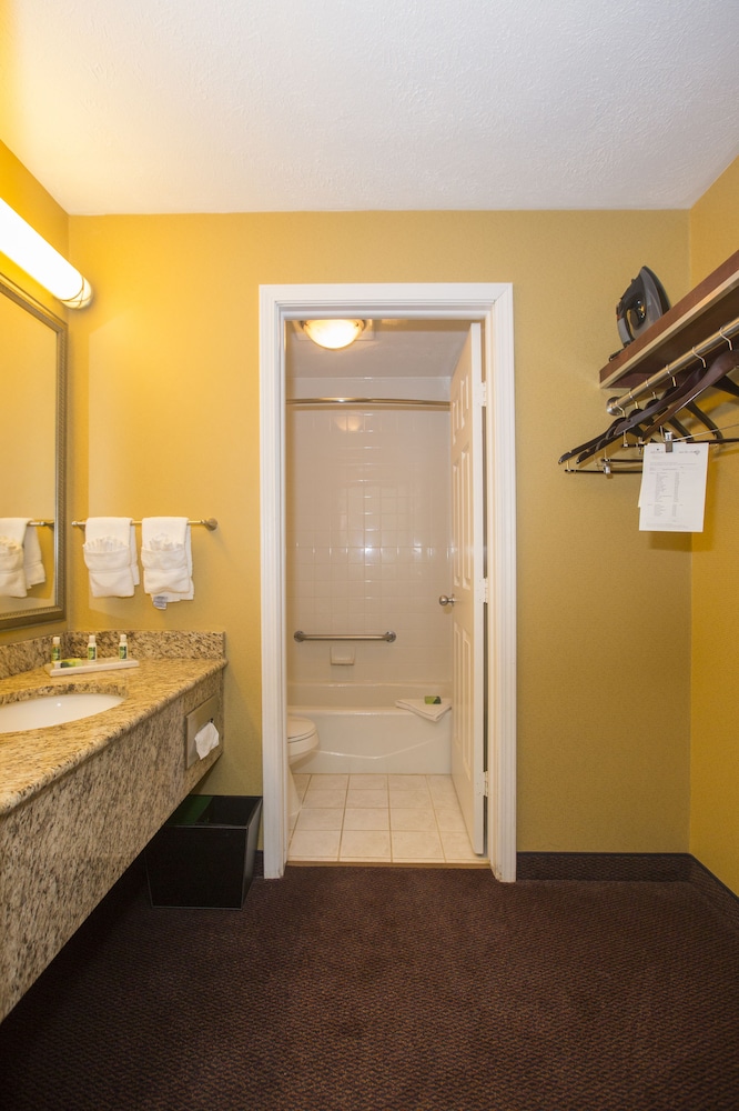 Ivy Court Inn And Suites 17/49