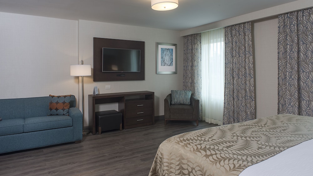 Staybridge Suites Puebla 23/63