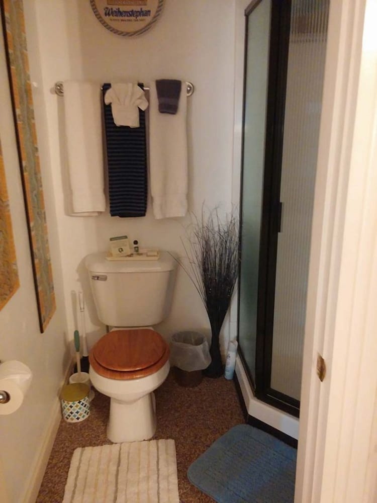 Oasis Bed and Breakfast 36/37