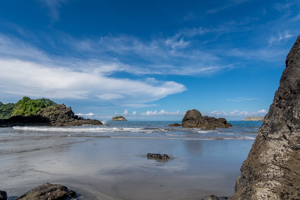 Manuel Antonio 36/49