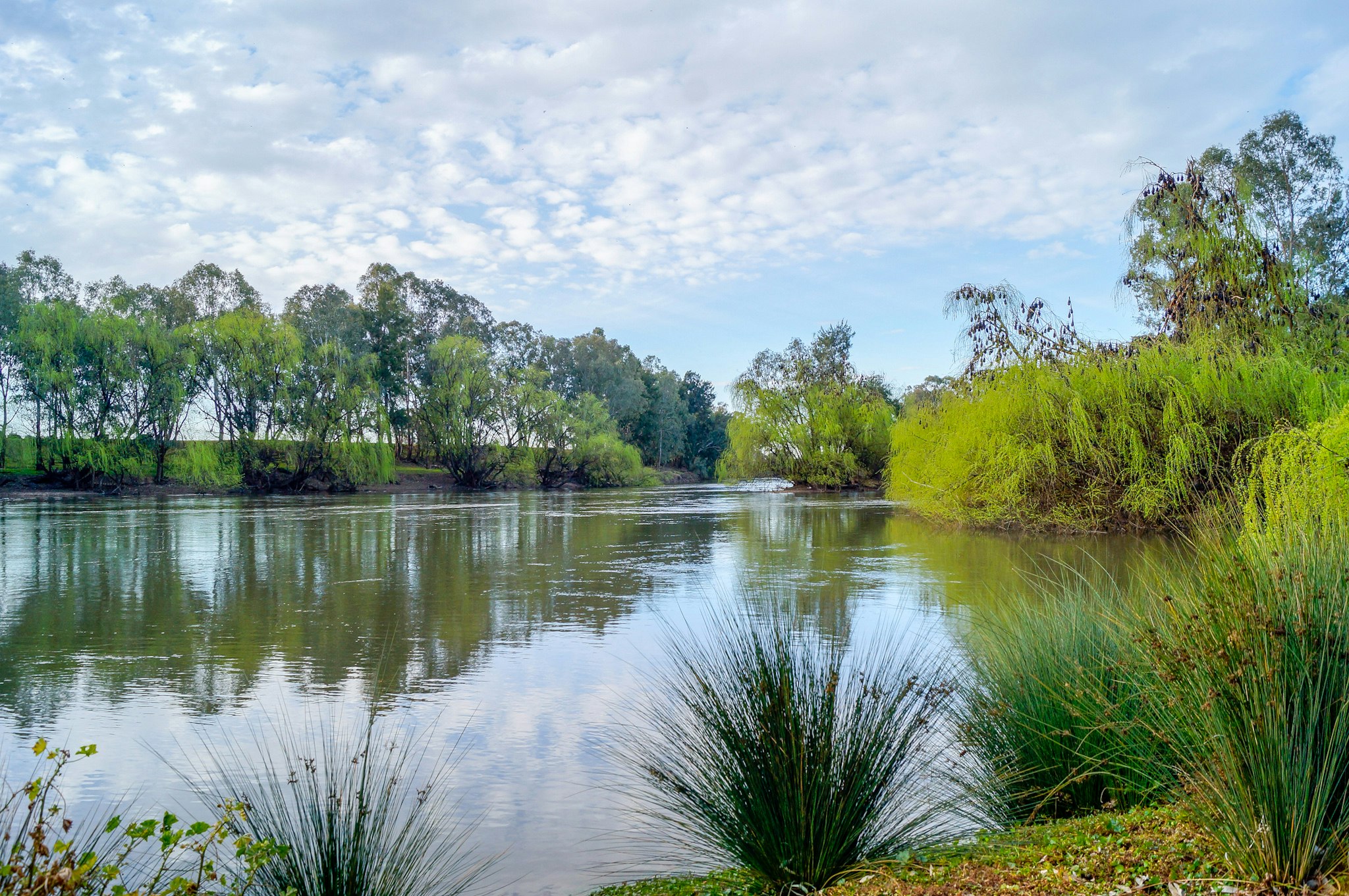 BIG4 Ingenia Holidays Wagga Wagga 12/20