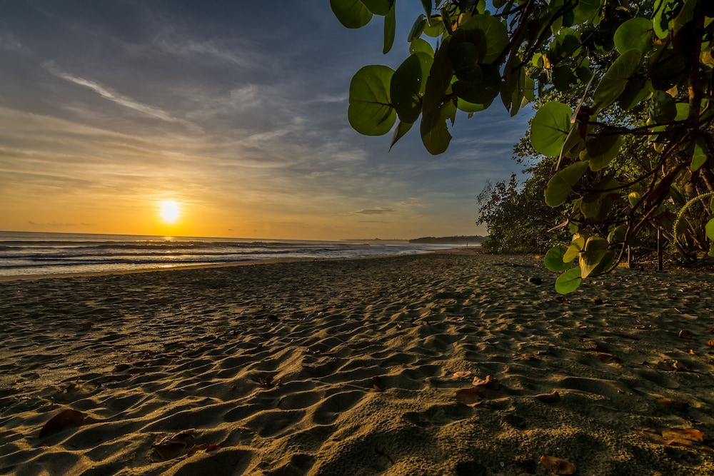 Cariblue Beach Jungle Resort 43/47