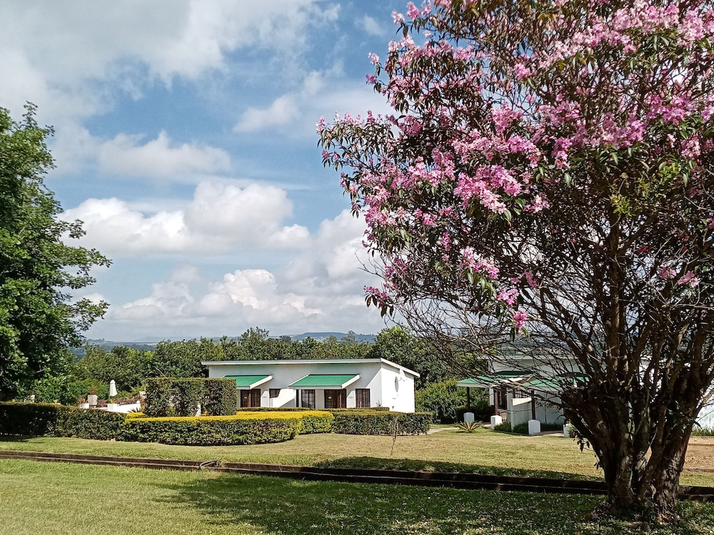 Nut Grove Manor Boutique Hotel 31/50
