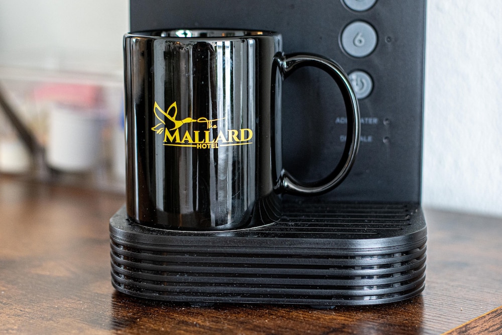 The Mallard Hotel 15/42