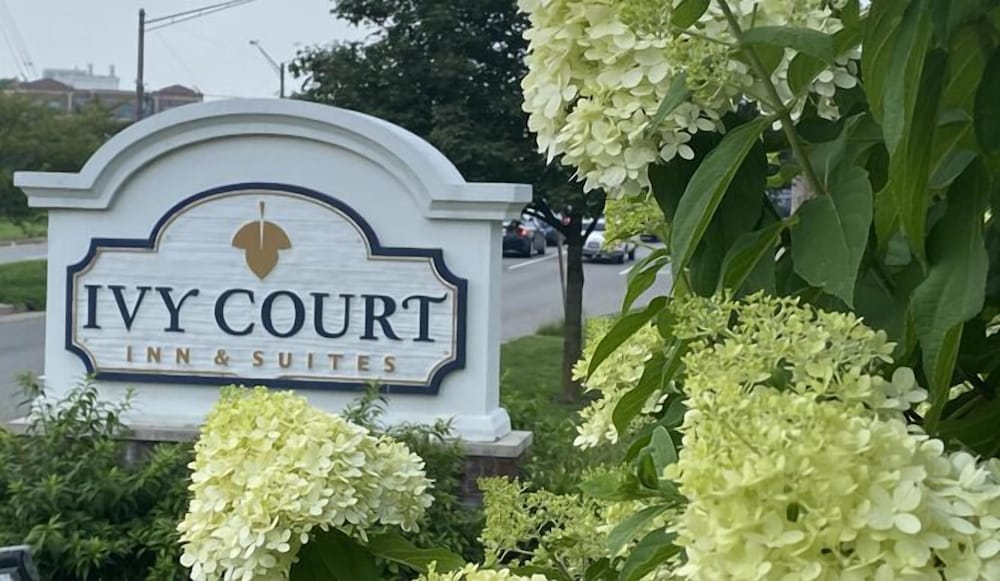 Ivy Court Inn And Suites 3/49