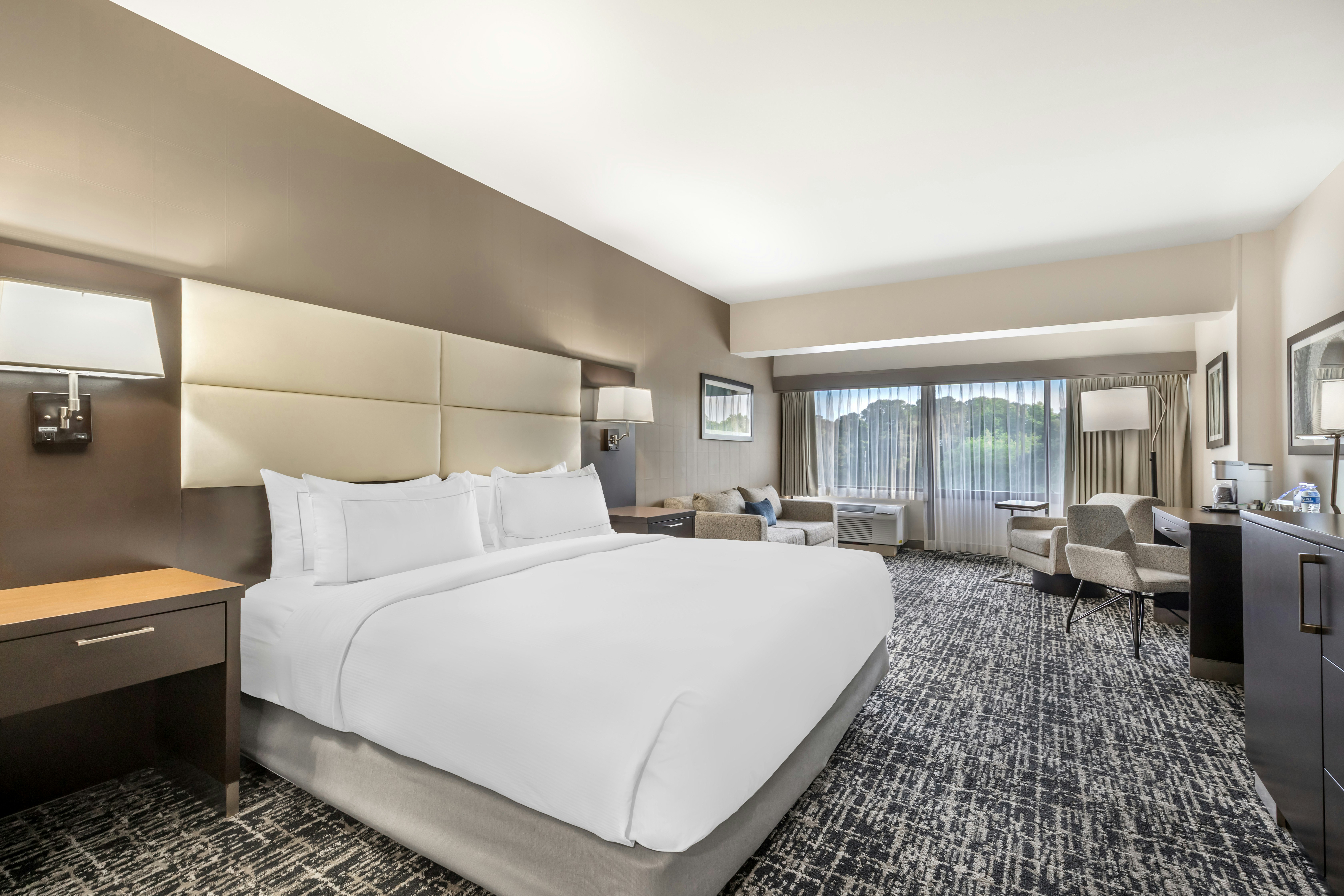 ROOM, KING BED, SOFA
