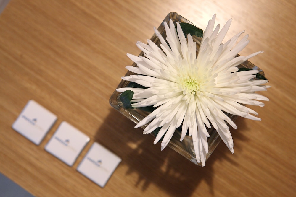Anatolia Hotel photo3