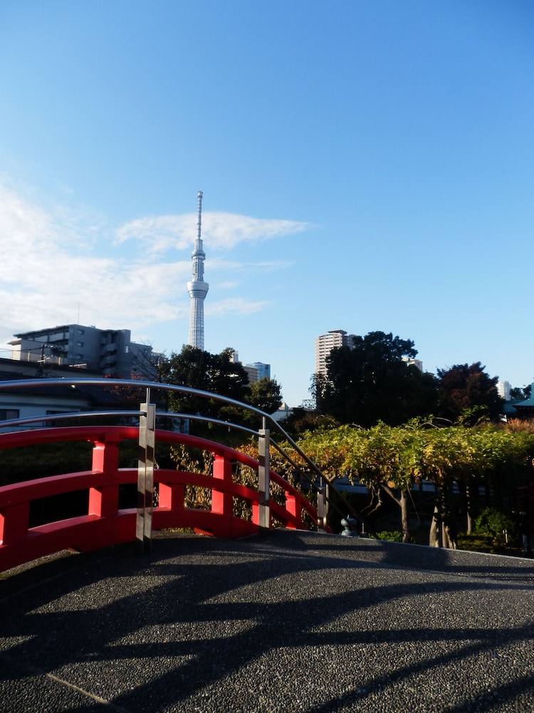 The OneFive Tokyo Kameido 3/50