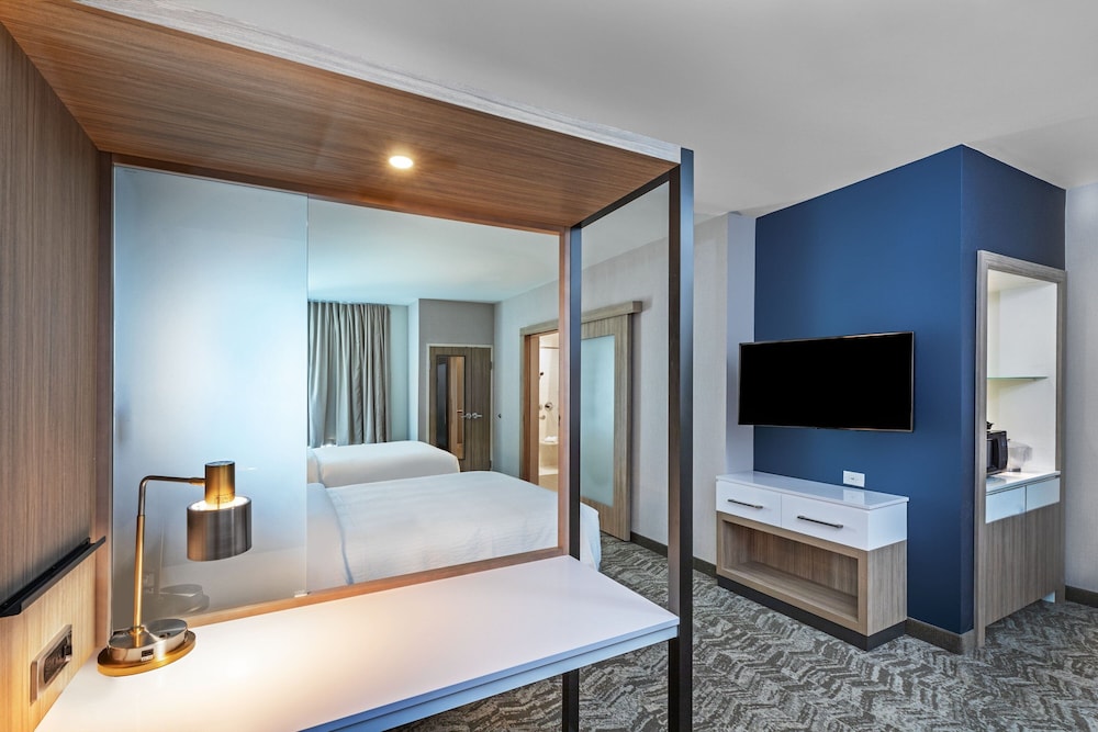 SpringHill Suites by Marriott Austin West/Lakeway 18/43