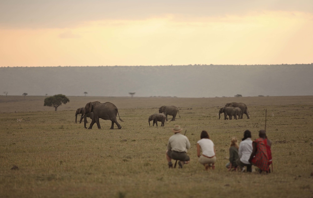 Elephant Pepper Camp 45/48