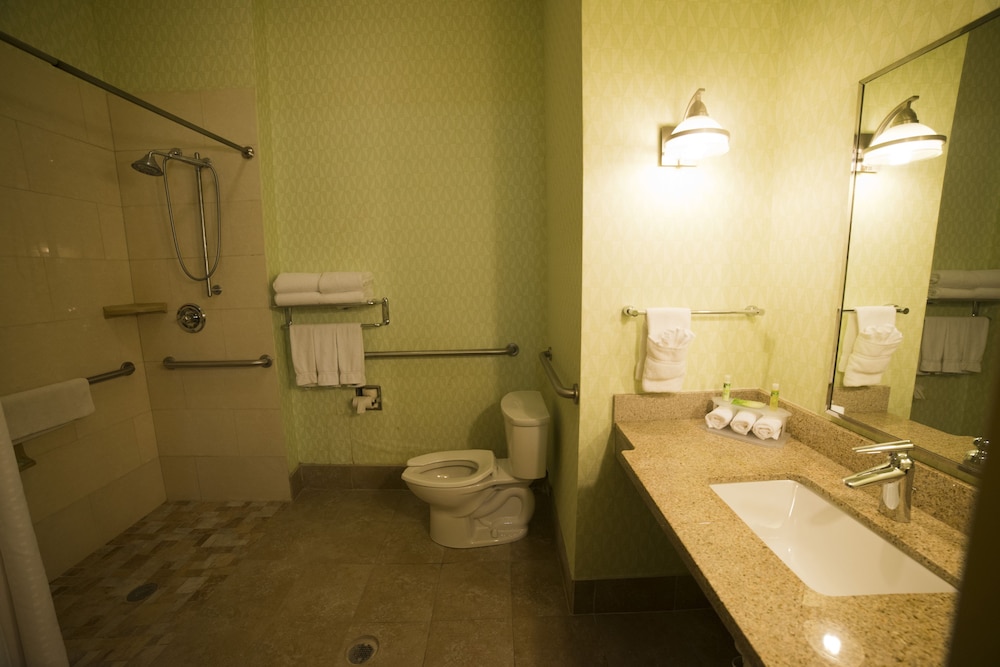 Holiday Inn Express Hotel Suites Atlanta East Lithonia 20/66