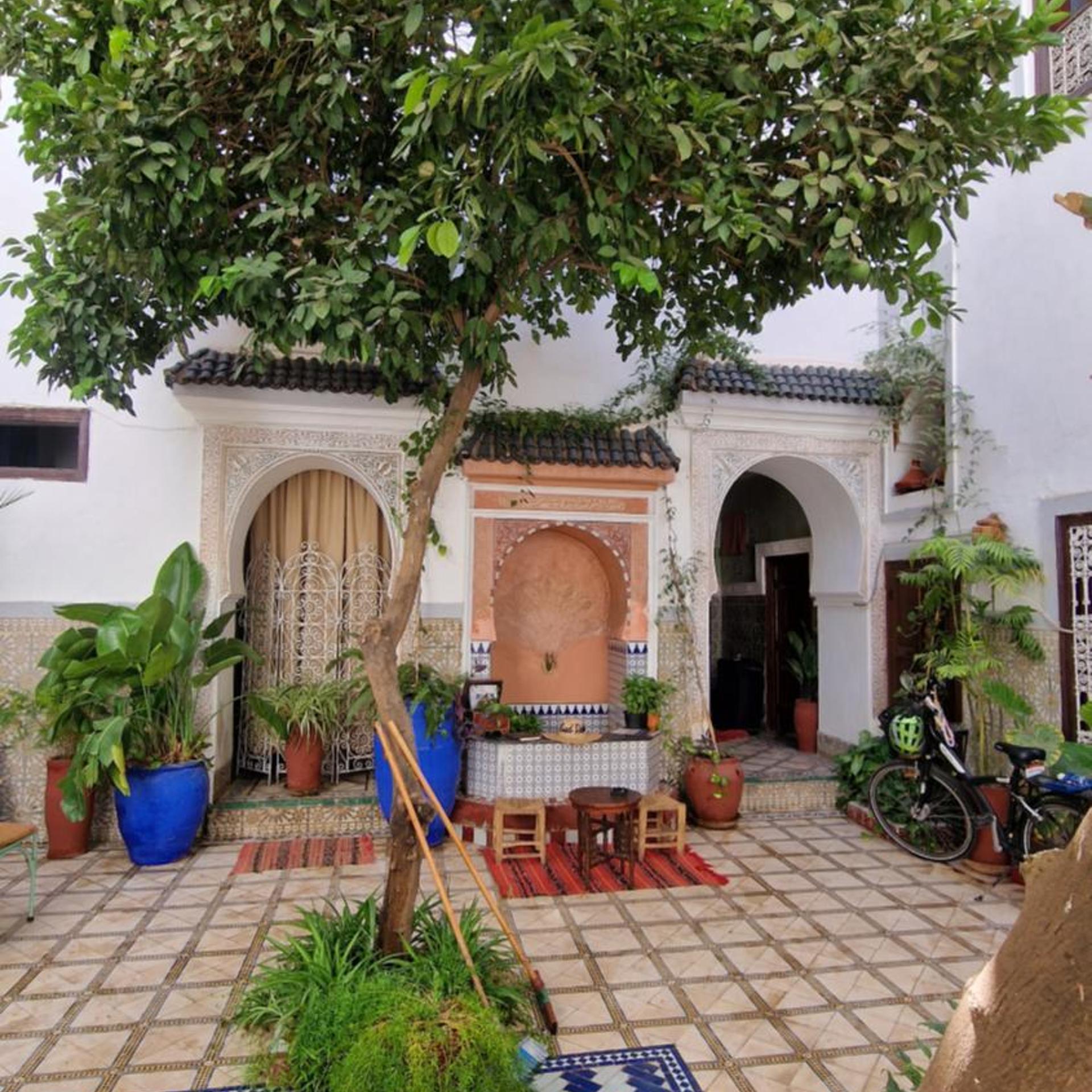RIAD DALIA 37/43
