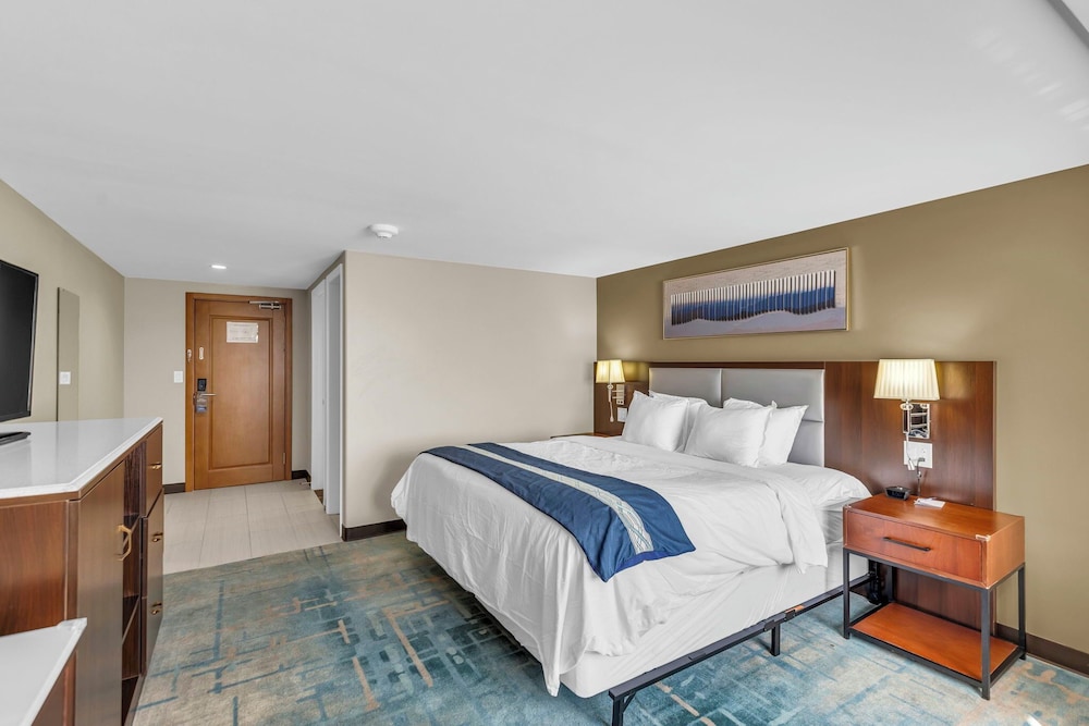 Room, Queen Bed