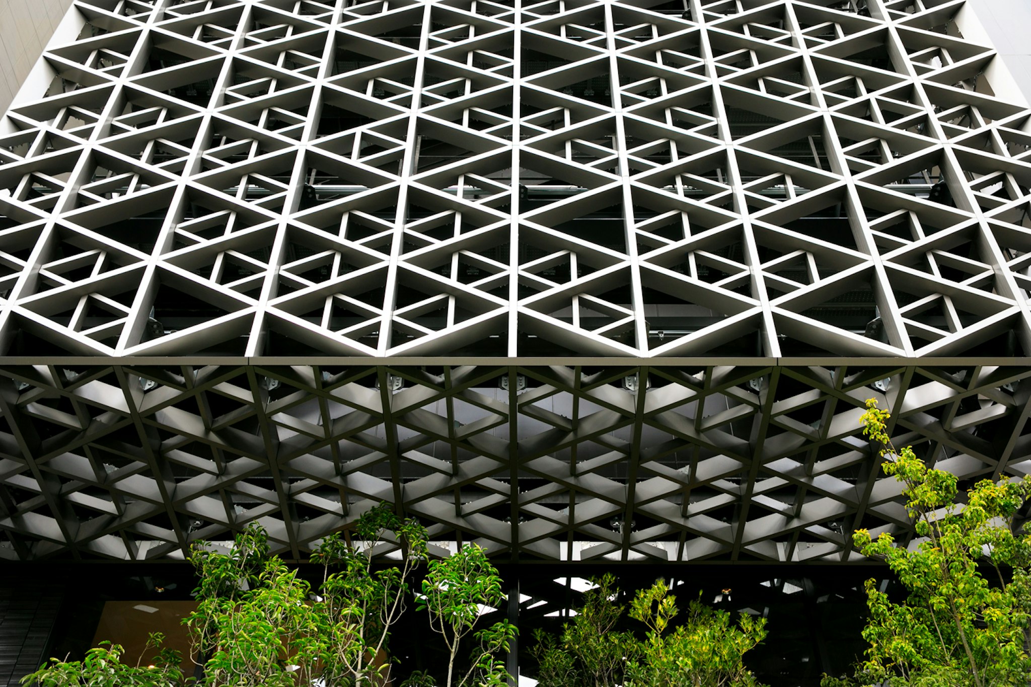 Hotel JAL City Fukuoka Tenjin 4/50