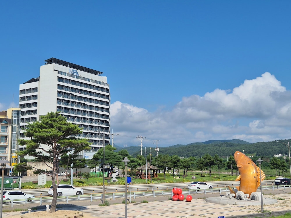 Diamer Hotel Sokcho Yangyang By Stayneo 42/50