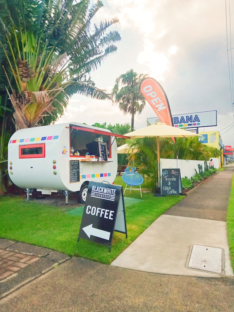 The Cubana Ballina 37/50