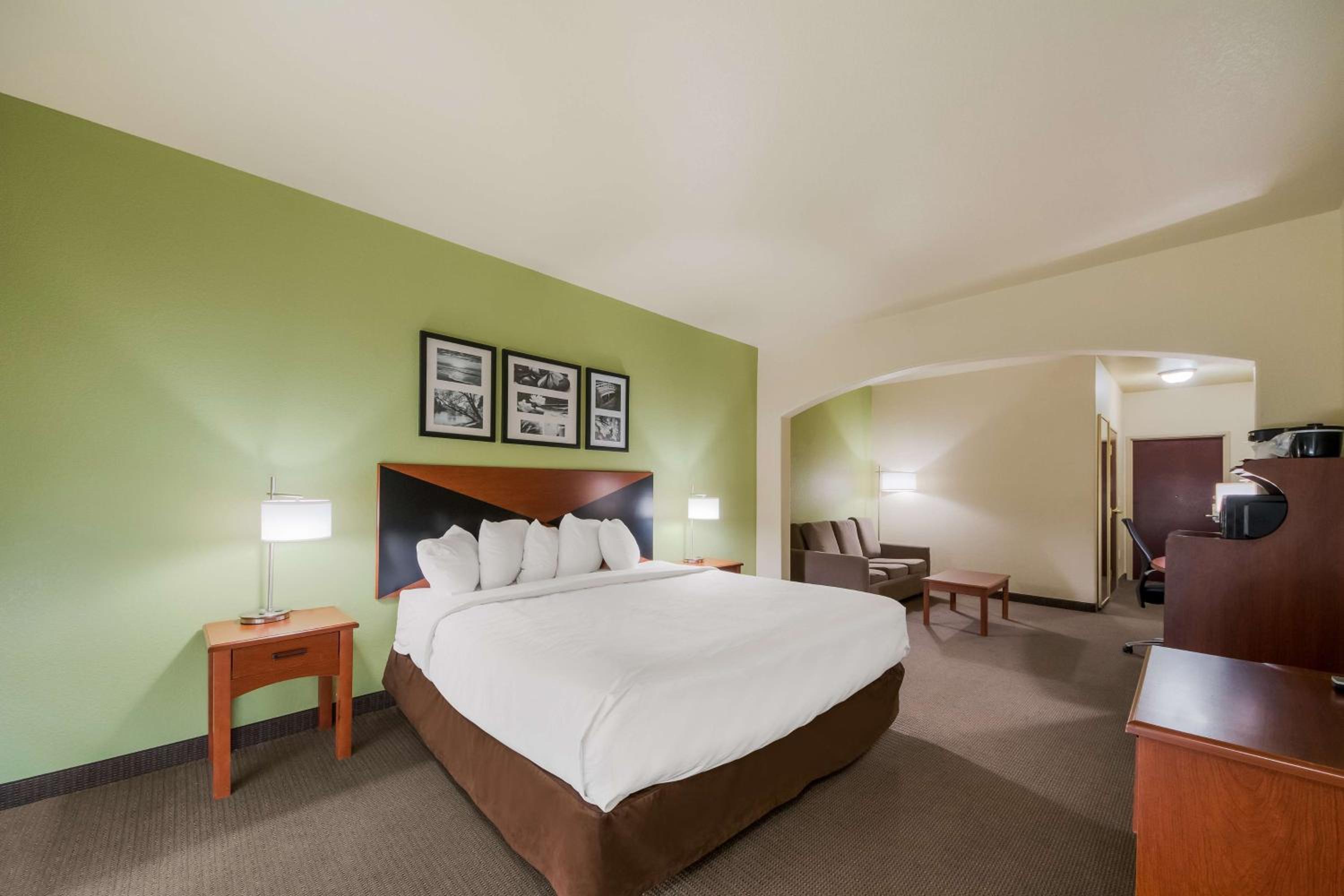 Suite, King Bed, Bathtub, Accessible