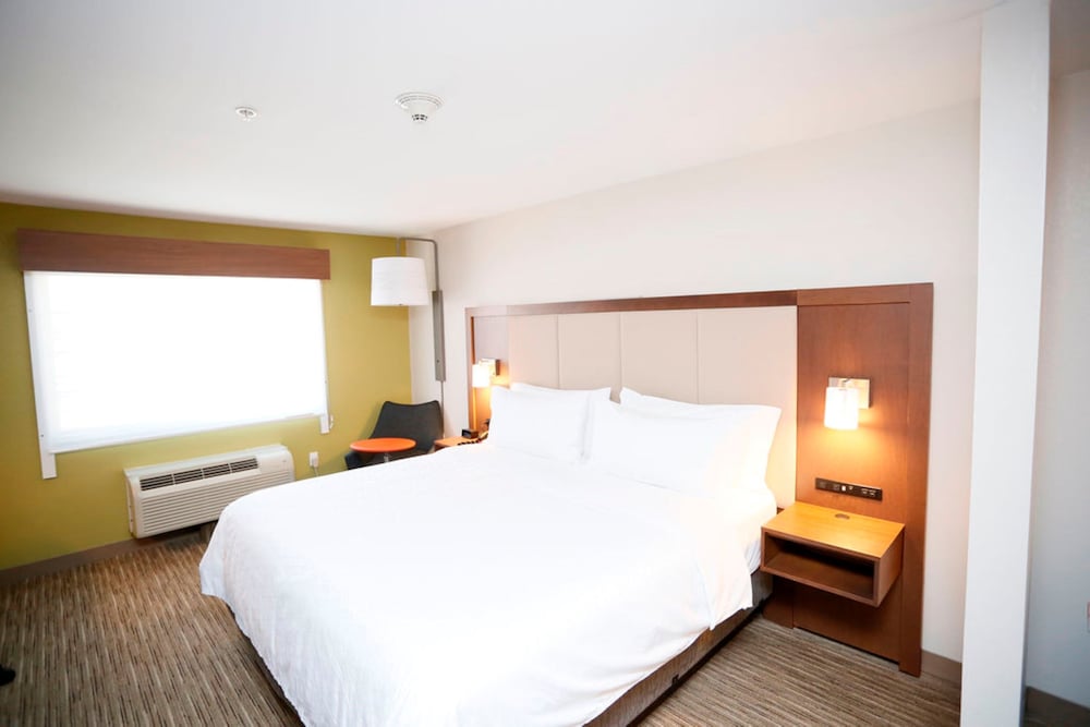 Holiday Inn Express Hotel and Suites Carlsbad 22/65