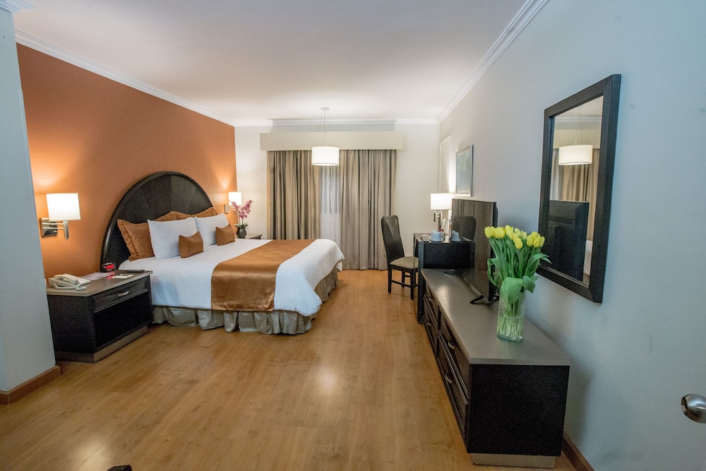 Hotel Plaza de Oro 11/43