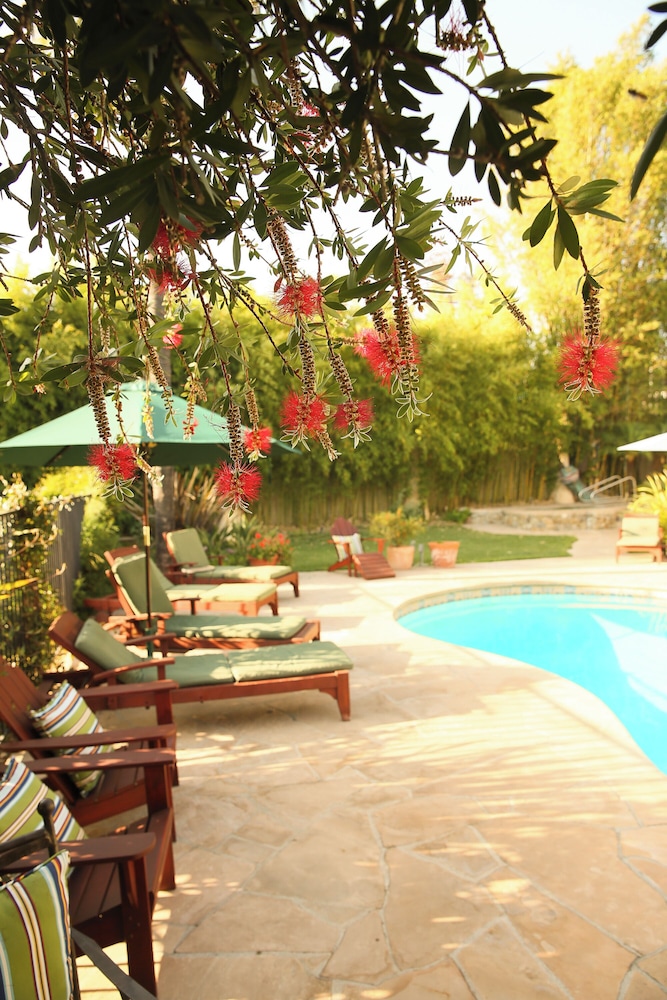 Blue Iguana Inn 57/64