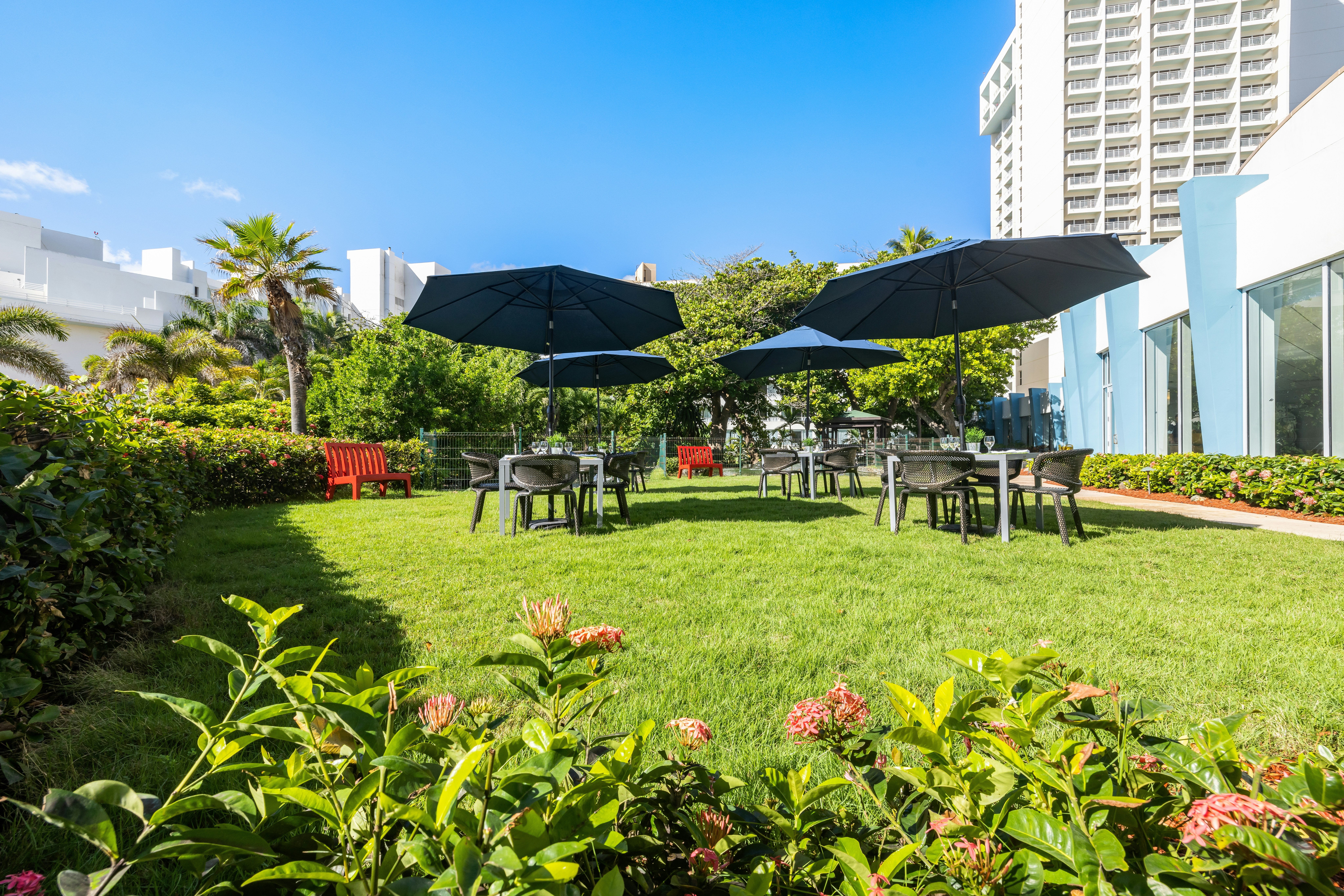 Caribe Hilton 74/74