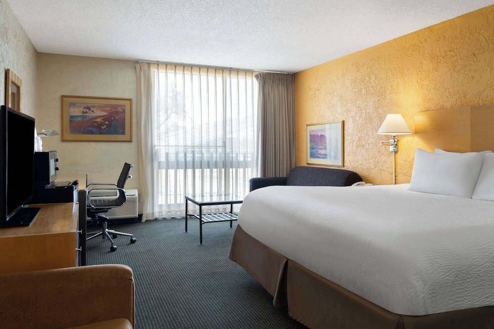 ROOM, KING BED